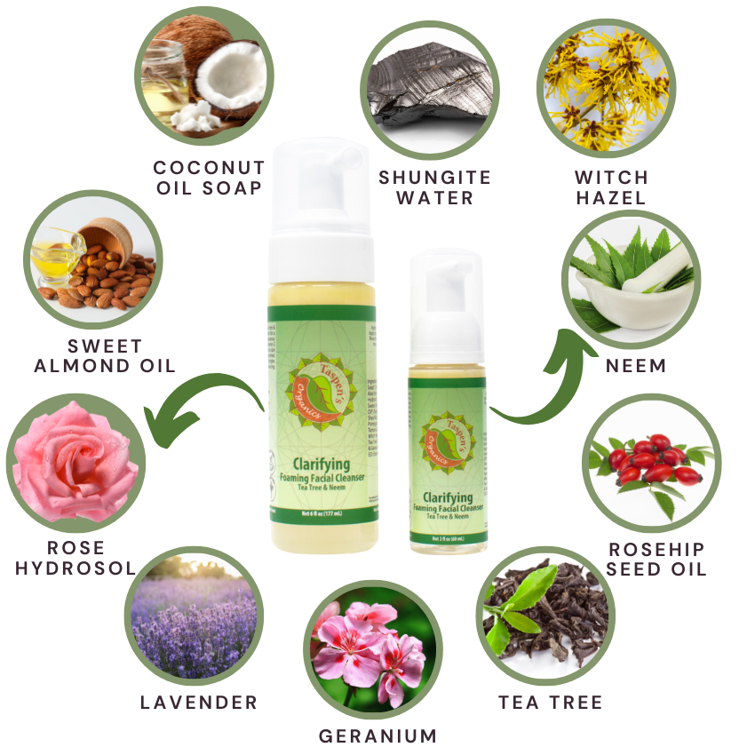 Clarifying Foaming Facial Cleanser with Tea Tree & Neem – Taspen's